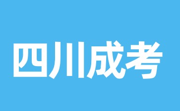 2024年四川成人高考復習有哪些地方可以入手?
